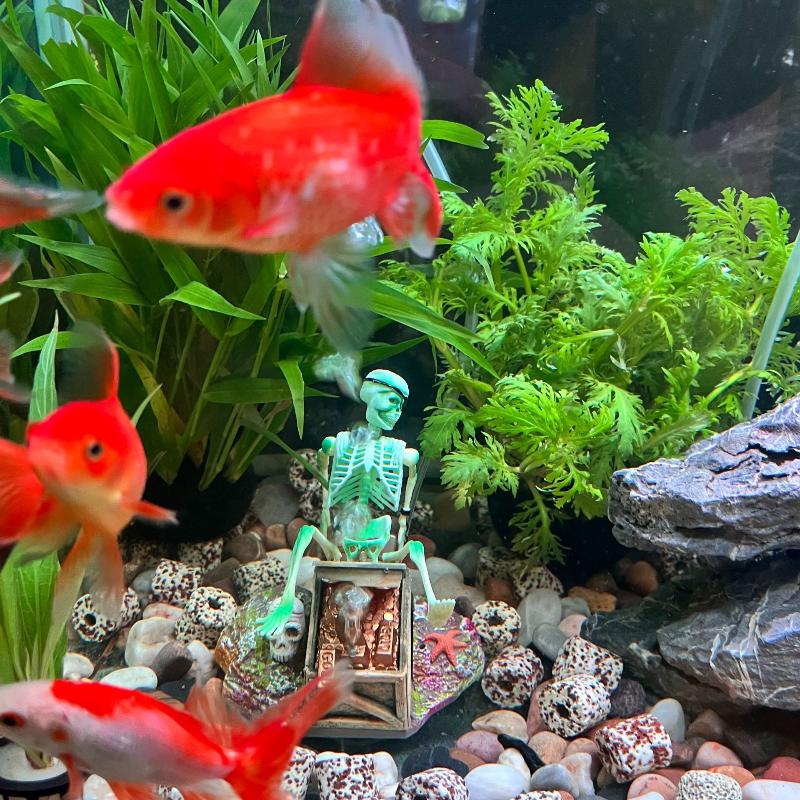 Aquarium Fish Enrichment - خزان الأسماك المناظر الطبيعية الهوائية فقاعة