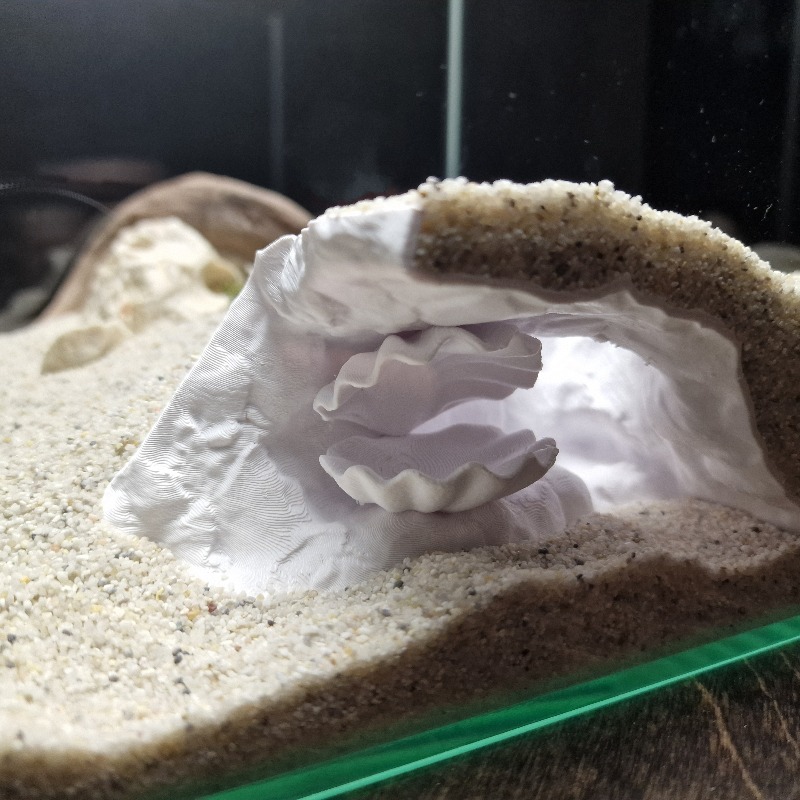 Aquarium Fish Hideout - غرفة إخفاء مخفية لأحواض السمك مطبوعة