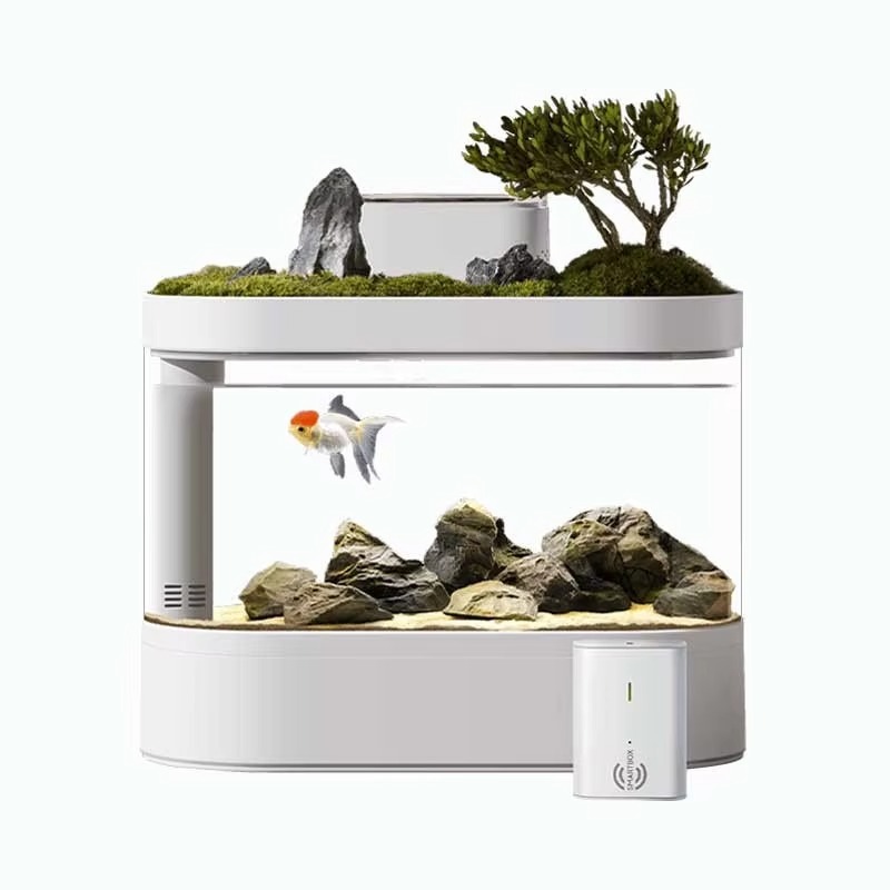 Aquarium Fish Feeder Automatic - حوض أسماك ذكي للمكتب مع جهاز