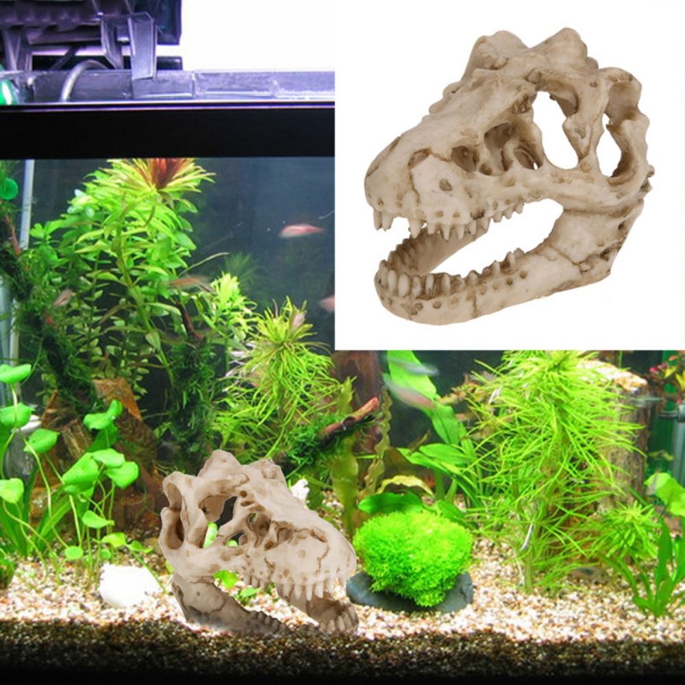 ديناصور محاكاة إبداعية لحوض ال - مراجعة Aquarium Fish Hideout وسعره