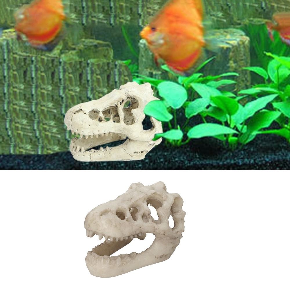 ديناصور محاكاة إبداعية لحوض ال - مراجعة Aquarium Fish Hideout وسعره