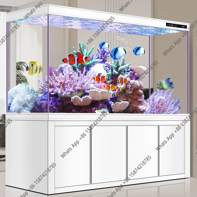 حوض أسماك أروانا زجاجي فائق ال - مراجعة Xchange Aquarium Fish وسعره