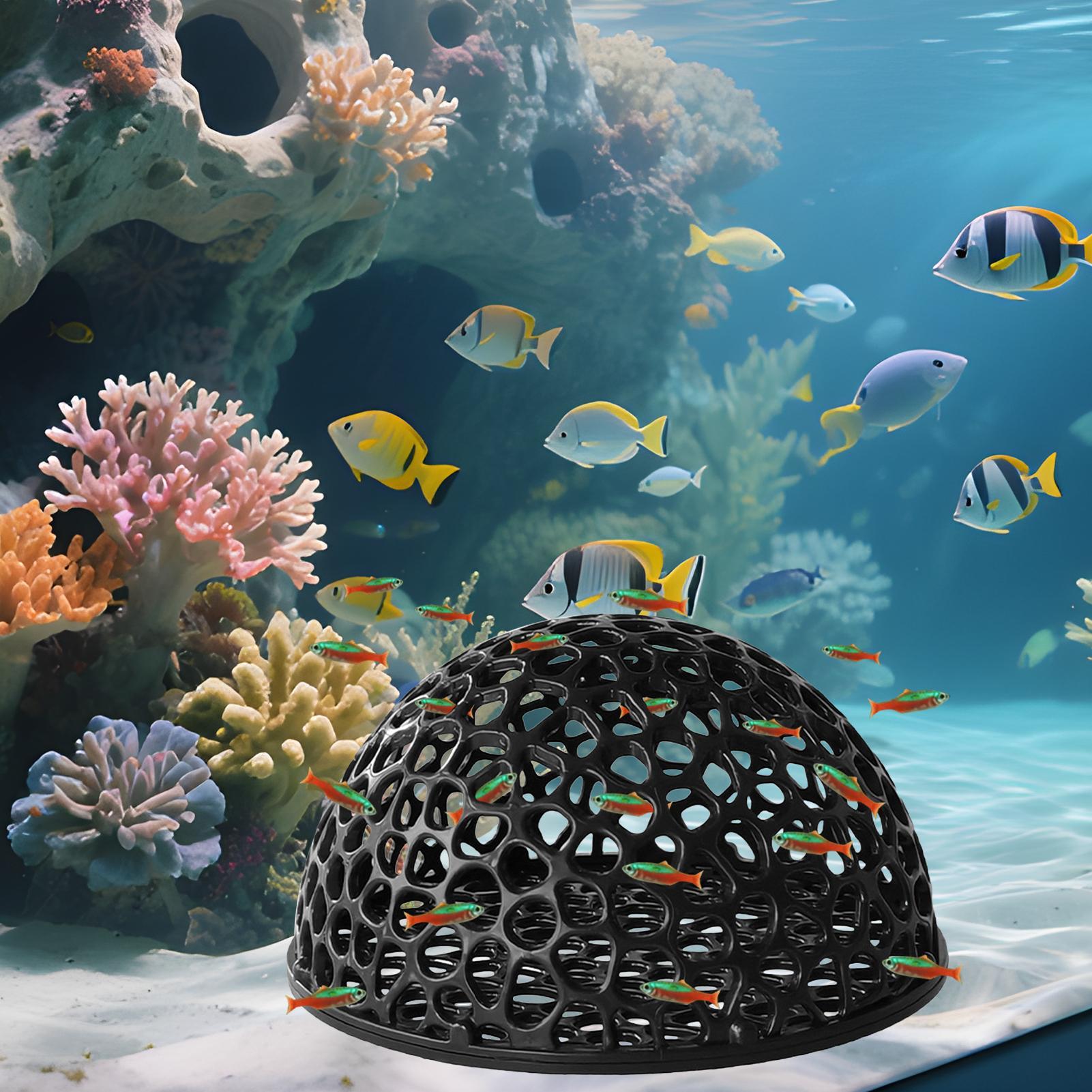 مأوى كهف مخفي لحوض السمك لتربي - مراجعة Aquarium Fish Hideout وسعره