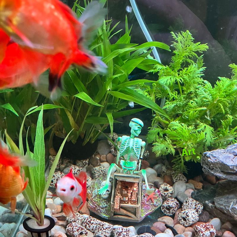 خزان الأسماك المناظر الطبيعية  - مراجعة Aquarium Fish Enrichment وسعره