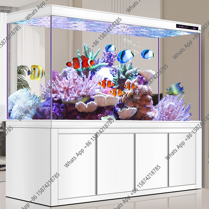 حوض أسماك أروانا زجاجي فائق ال - مراجعة Xchange Aquarium Fish وسعره