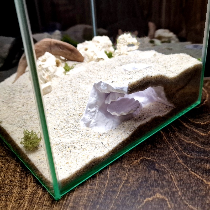 غرفة إخفاء مخفية لأحواض السمك  - مراجعة Aquarium Fish Hideout وسعره