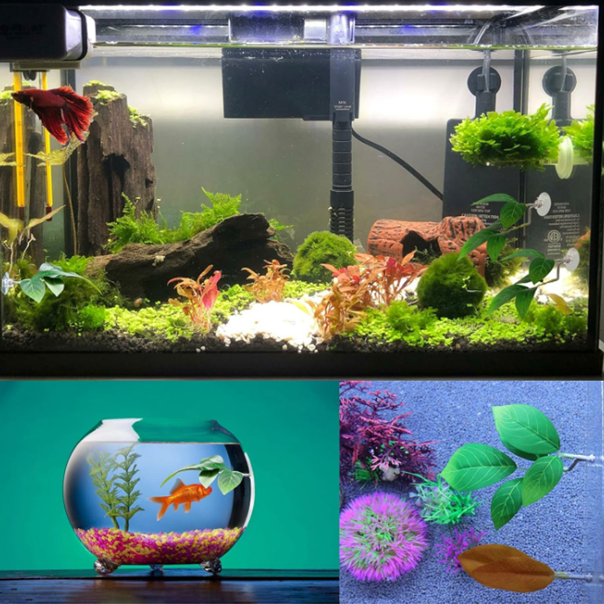 1 قطعة أرجوحة سمك البيتا، ديكو - مراجعة Aquarium Fish Enrichment وسعره
