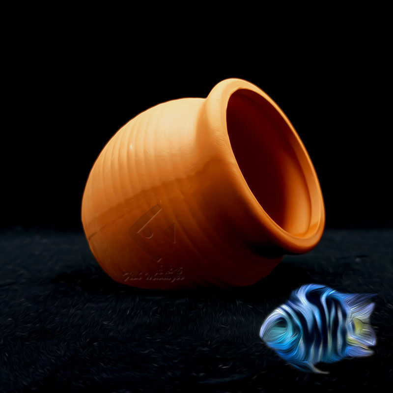 حوض السمك إصّيص سيراميك صغير ح - مراجعة Aquarium Fish Hideout وسعره