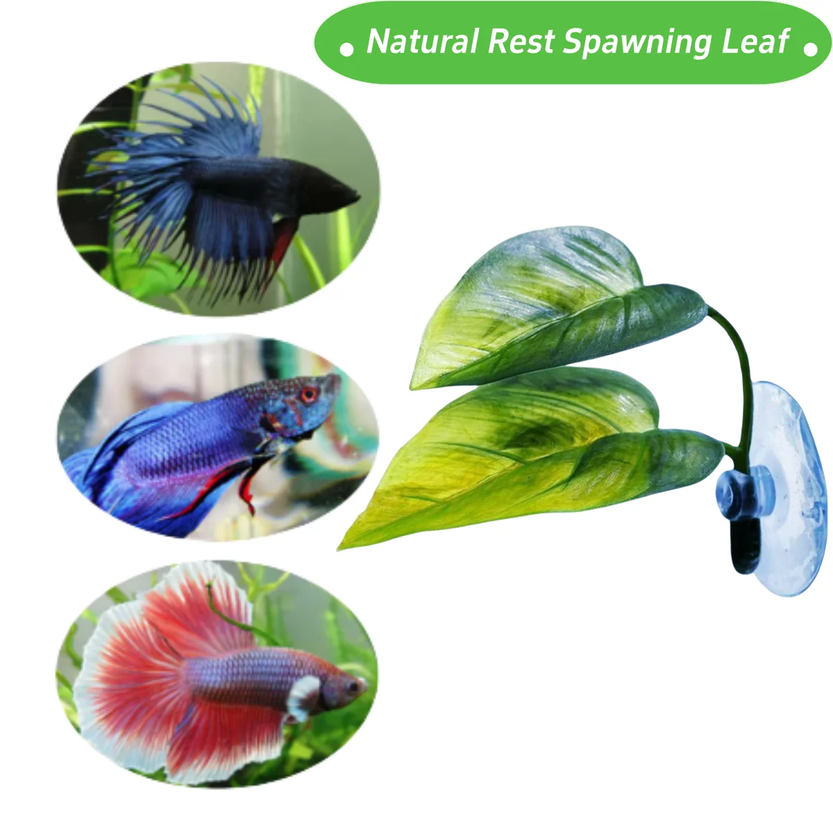 الحيوانات الأليفة خزان الأسماك - مراجعة Aquarium Fish Enrichment وسعره