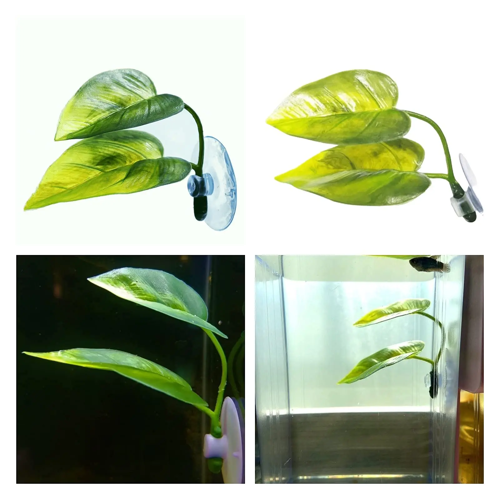 الحيوانات الأليفة خزان الأسماك - مراجعة Aquarium Fish Enrichment وسعره