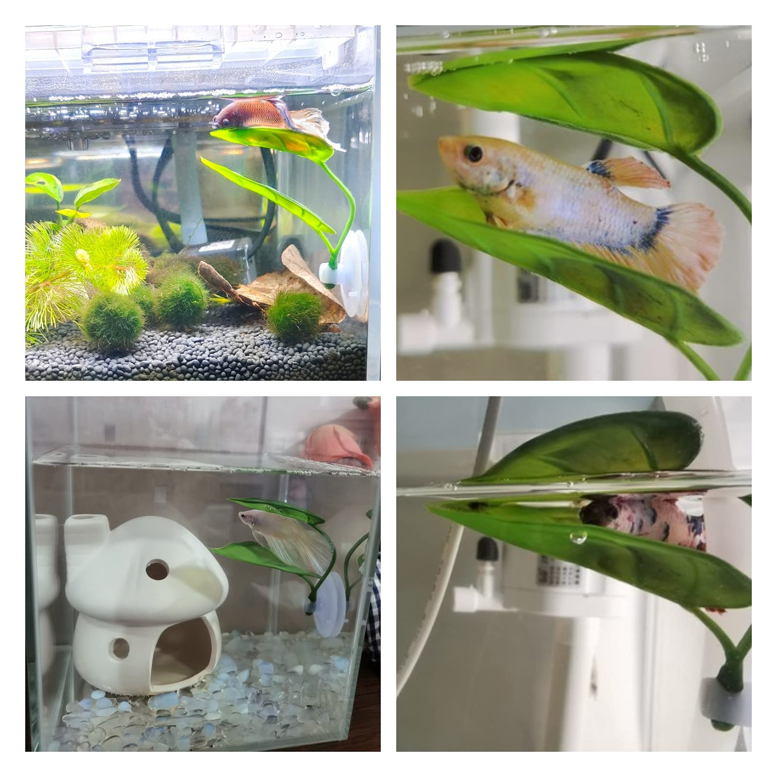 الحيوانات الأليفة خزان الأسماك - مراجعة Aquarium Fish Enrichment وسعره