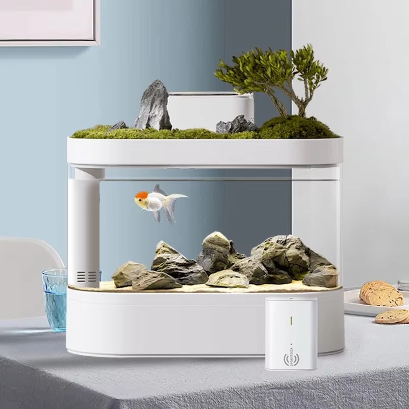 حوض أسماك ذكي للمكتب مع جهاز ت - مراجعة Aquarium Fish Feeder Automatic وسعره