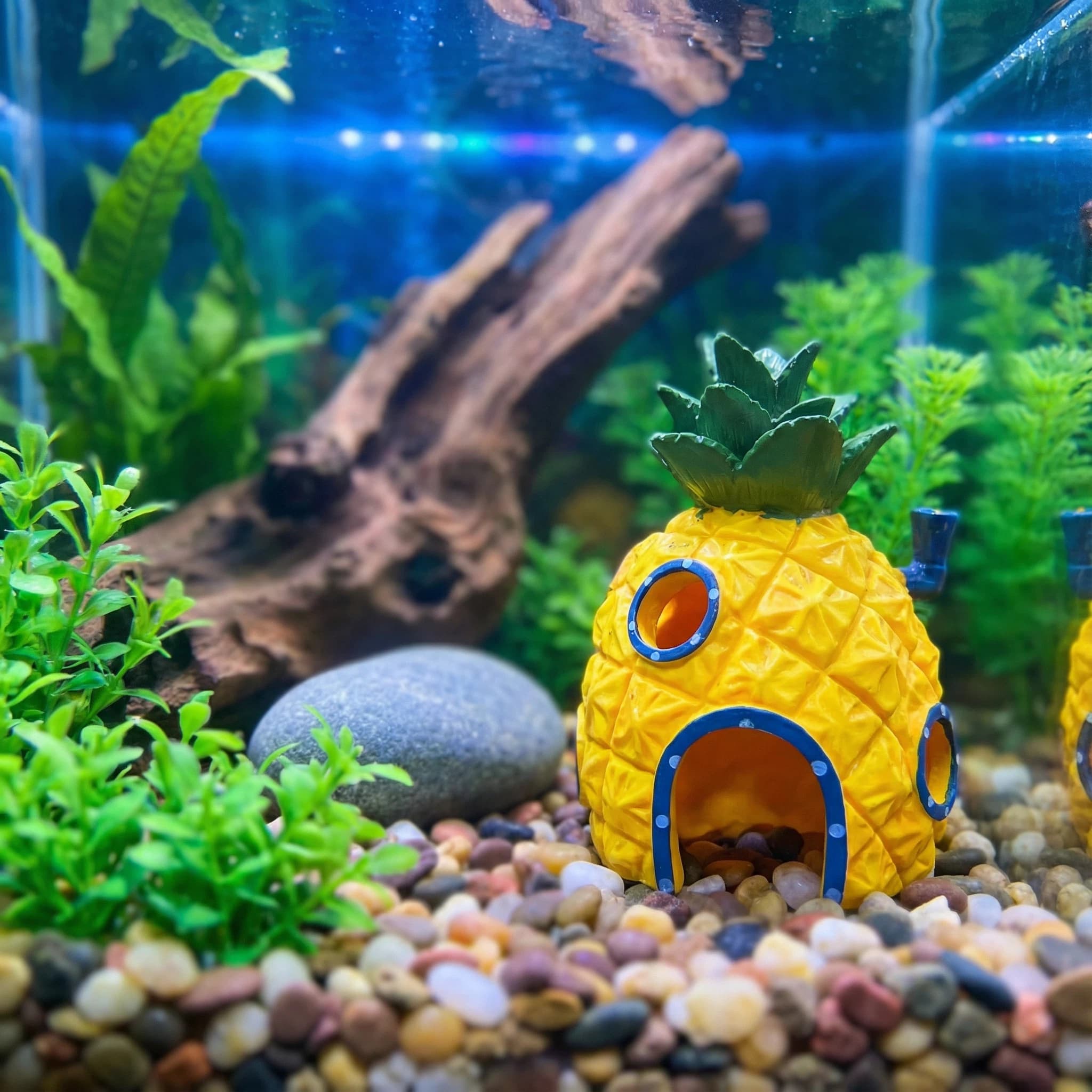 ديكور حوض السمك على شكل بيت ال - مراجعة Aquarium Fish Hideout وسعره