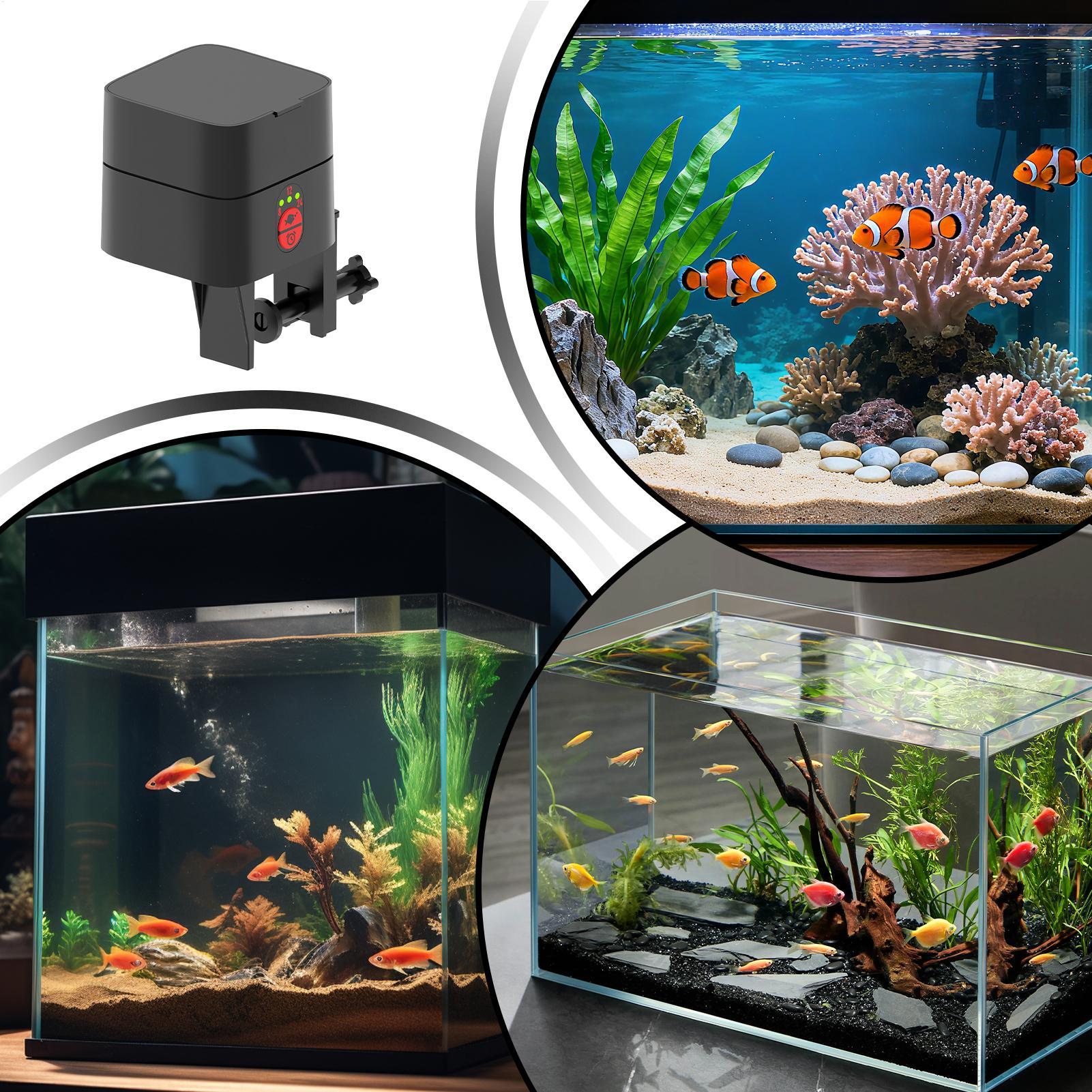 موزع طعام أوتوماتيكي للأسماك ف - مراجعة Aquarium Fish Feeder Automatic وسعره