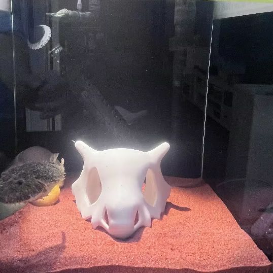 ثلاثية الأبعاد مطبوعة الأسماك  - مراجعة Aquarium Fish Hideout وسعره