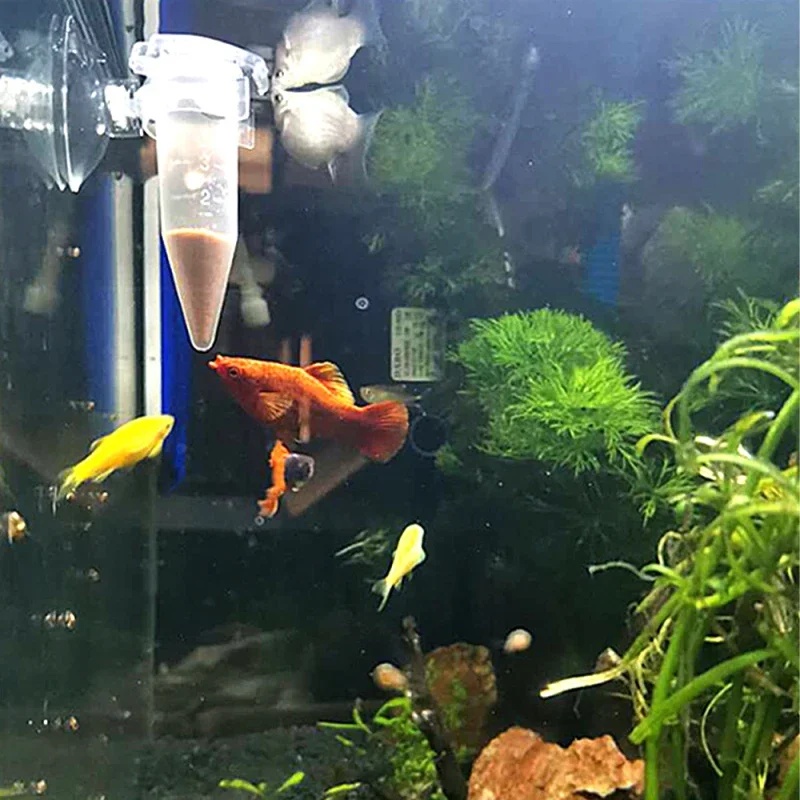 التلقائي وحدة تغذية الأسماك مخ - مراجعة Aquarium Fish Feeder Automatic وسعره